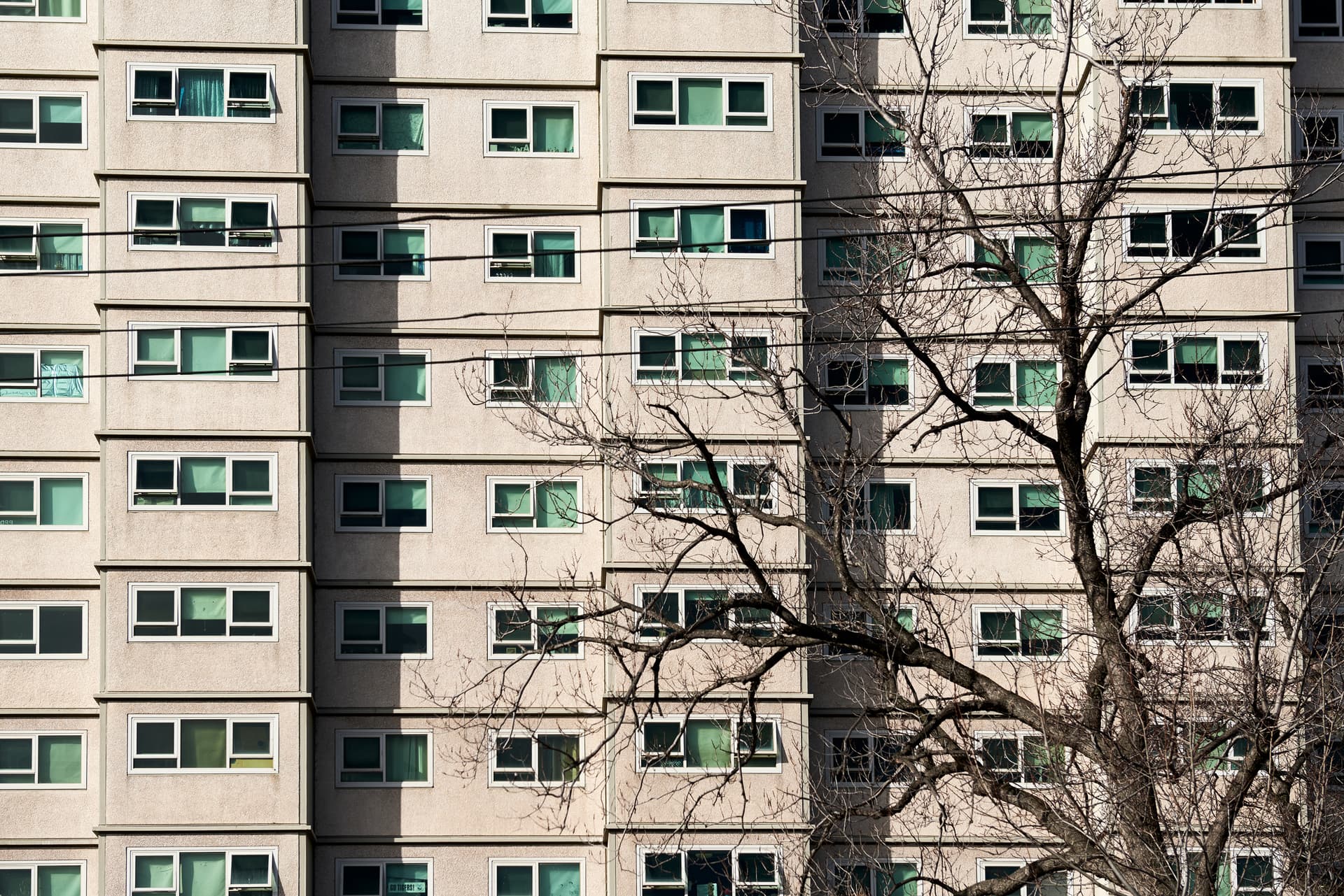 Social housing