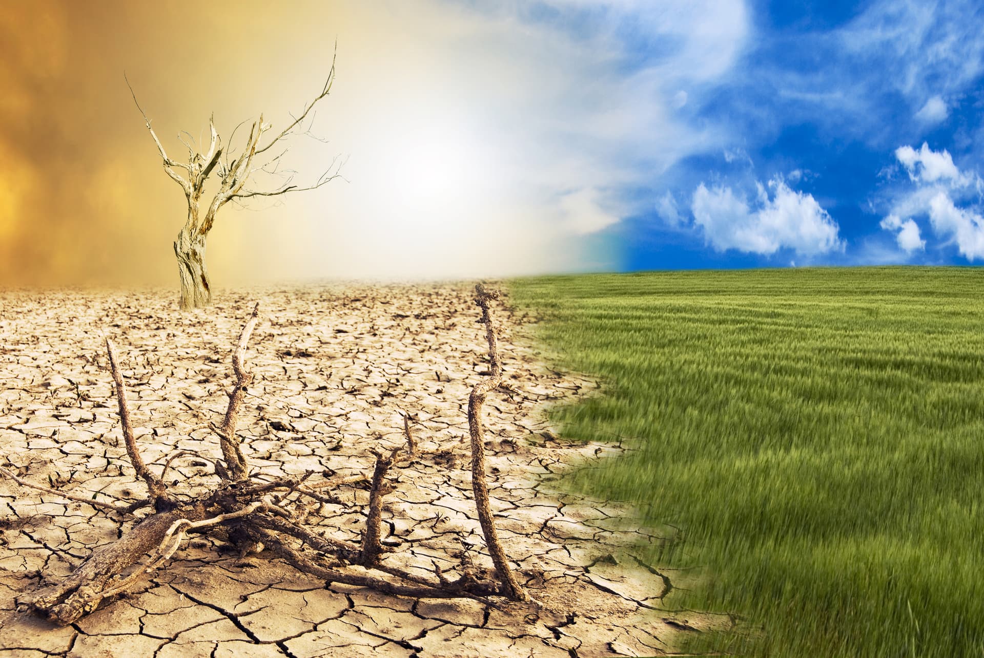 Climate change