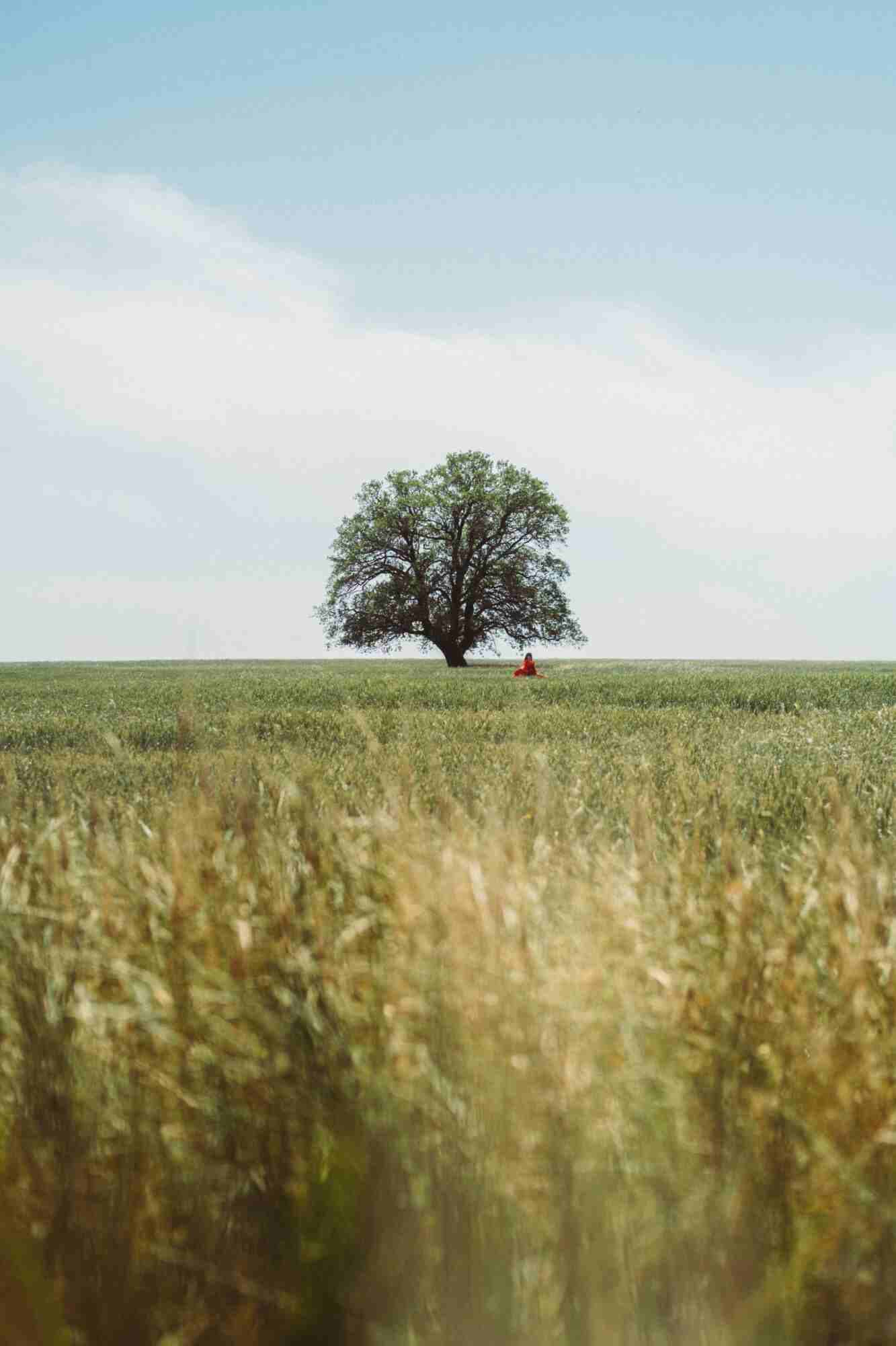 Feature image
